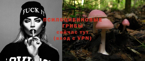 эйфоретик Новозыбков
