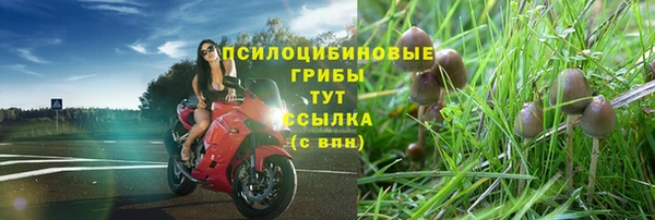 гидра Новодвинск