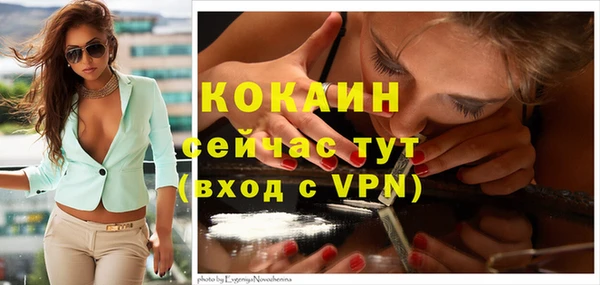 гашик Абинск